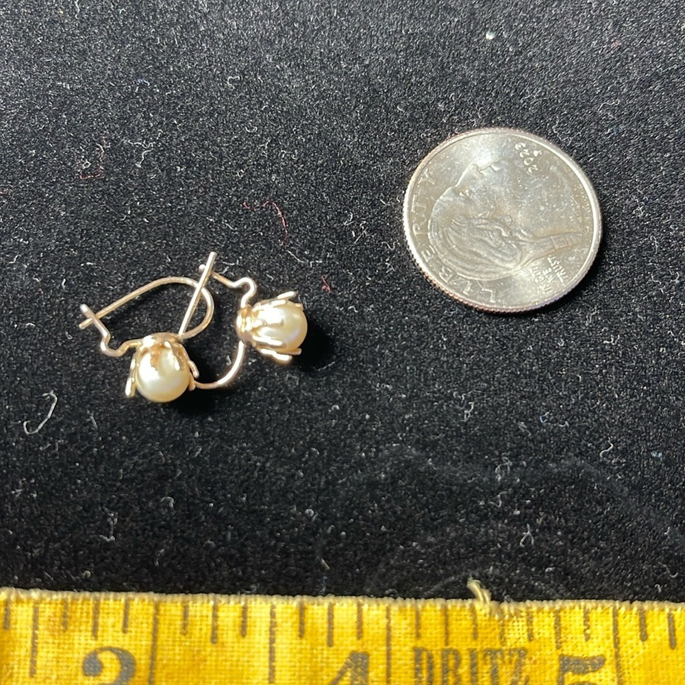 Hanging Pearl Like Earrings